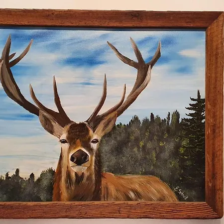 Absolute Active Mountain アパート *