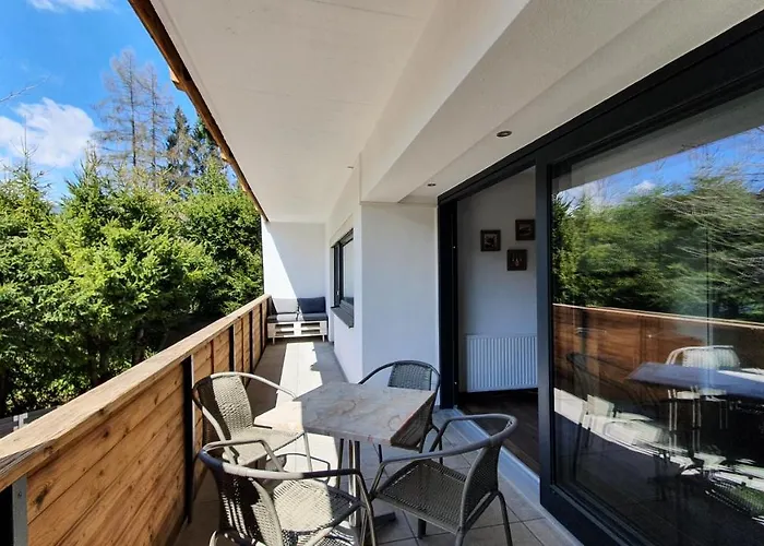 Absolute Active Mountain Kirchberg in Tirol